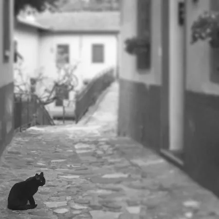 公寓 Il Gatto Nero *