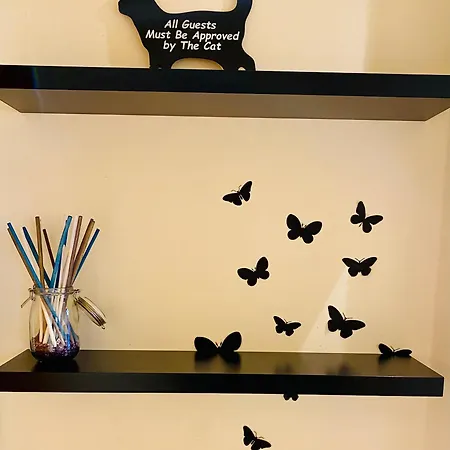 Il Gatto Nero Coreglia Antelminelli