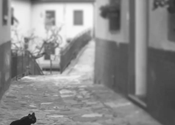 Appartamento Il Gatto Nero *